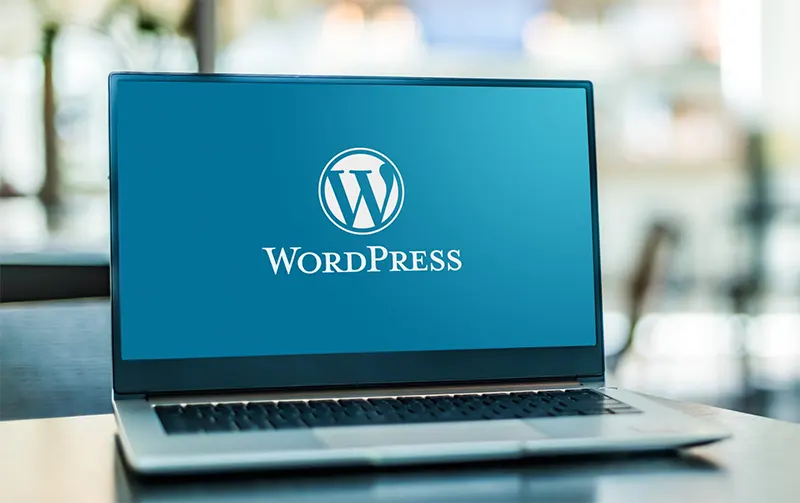 WordPress Development and Customization Services